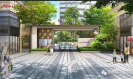 澳门政府最新爆料电话,揭秘事件背后真相